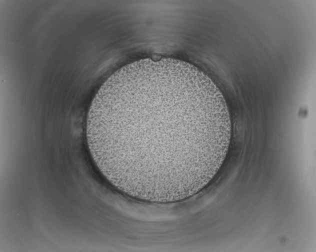 X0000116890032201002021218