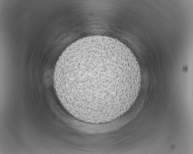 X0000116890034201002021218