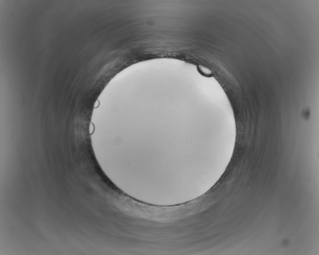 X0000116890035201002021218