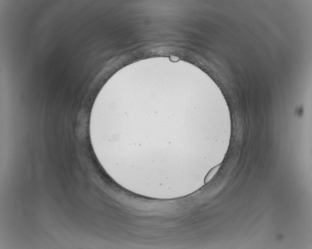 X0000116890036201002021218