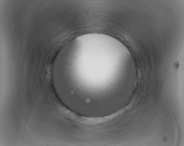 X0000116890037201002021218