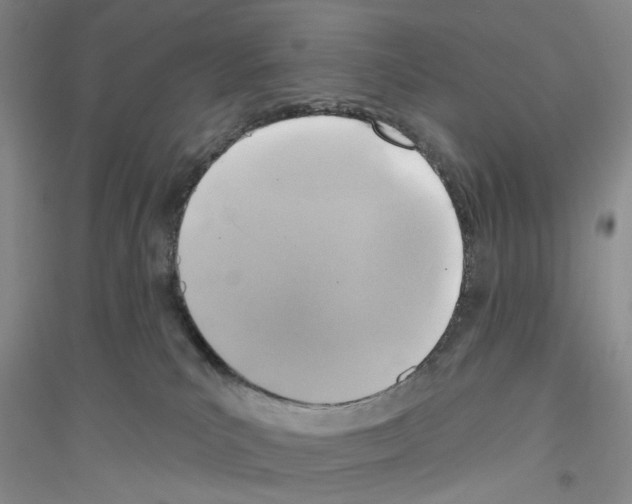 X0000116890039201002021218