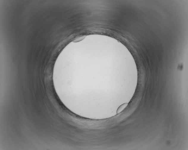 X0000116890040201002021218