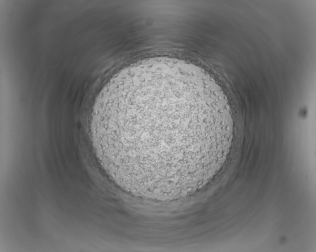 X0000116890042201002021218