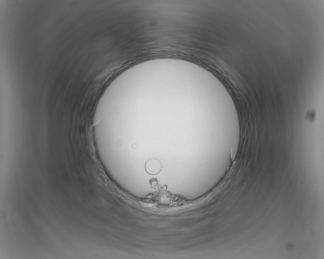 X0000116890043201002021218