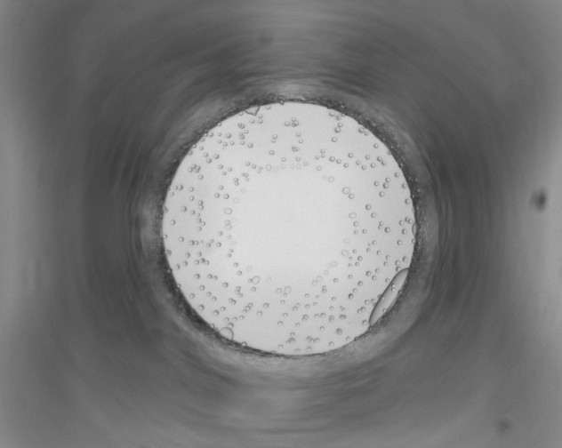 X0000116890044201002021218