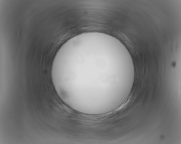 X0000116890045201002021218