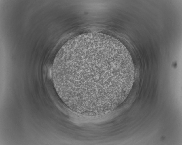 X0000116890046201002021218