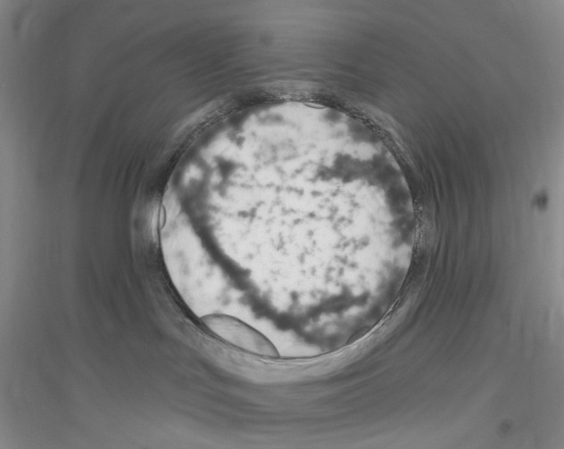 X0000116890047201002021218