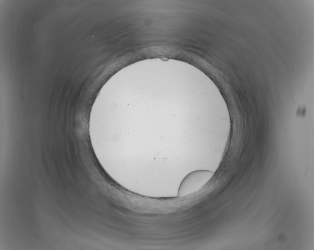 X0000116890048201002021218