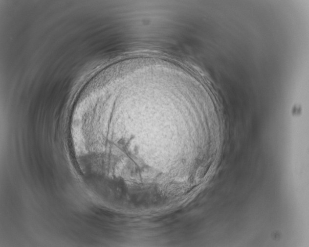 X0000116890049201002021217