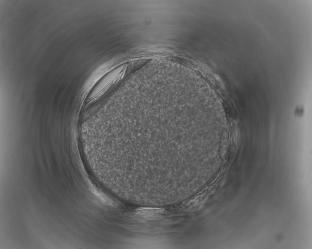 X0000116890051201002021217