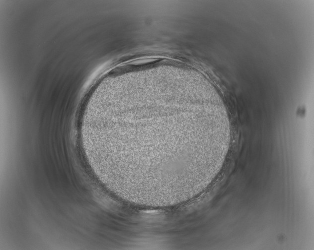 X0000116890053201002021217