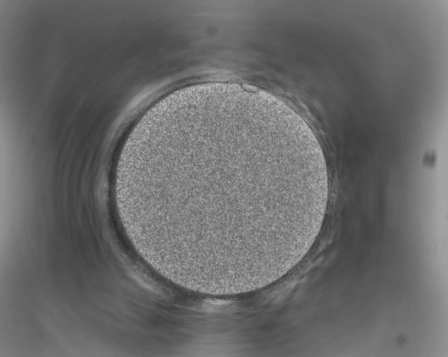 X0000116890055201002021217