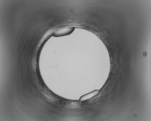 X0000116890056201002021217