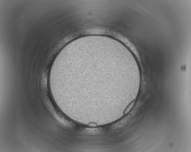 X0000116890057201002021218