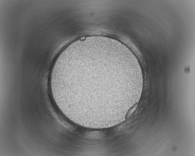 X0000116890058201002021218