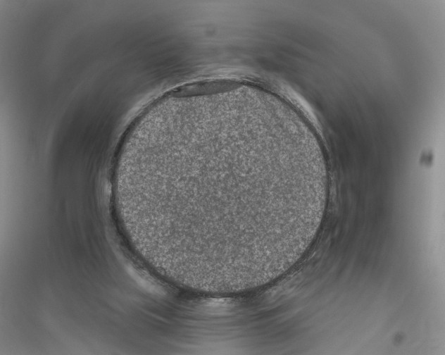 X0000116890059201002021218