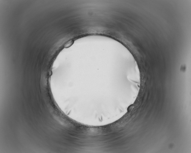 X0000116890060201002021218