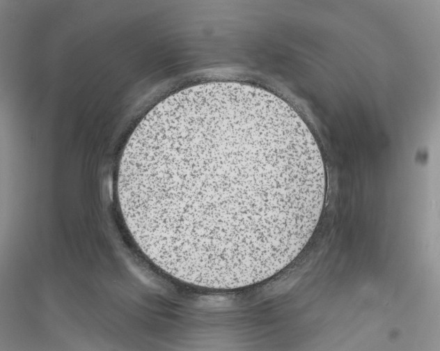 X0000116890061201002021218