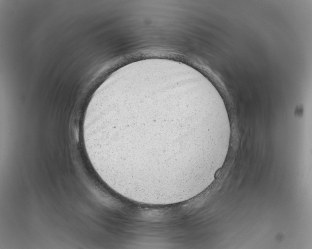 X0000116890062201002021218