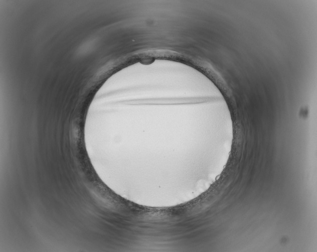 X0000116890063201002021218