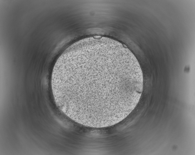 X0000116890064201002021218