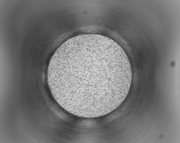 X0000116890065201002021218