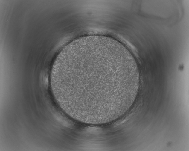 X0000116890067201002021218