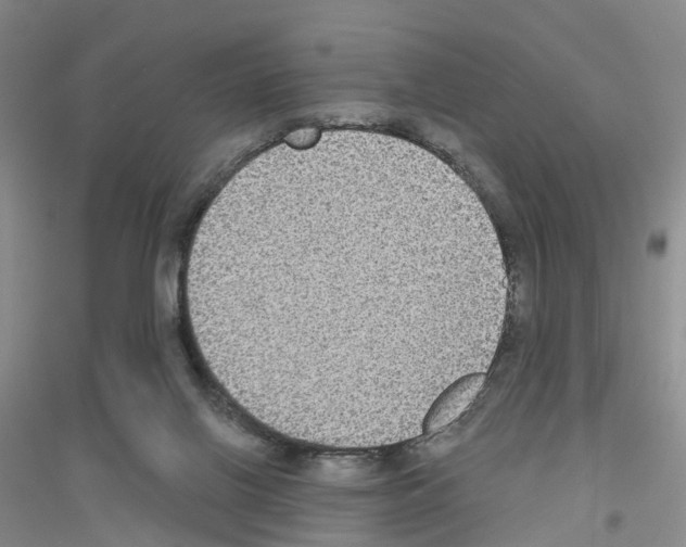 X0000116890070201002021218