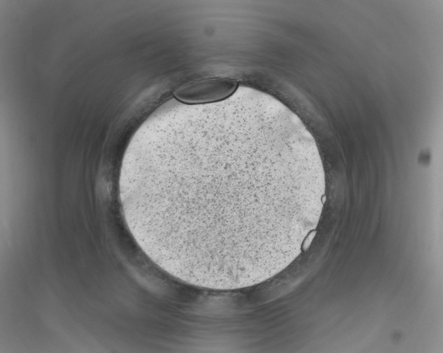 X0000116890072201002021218