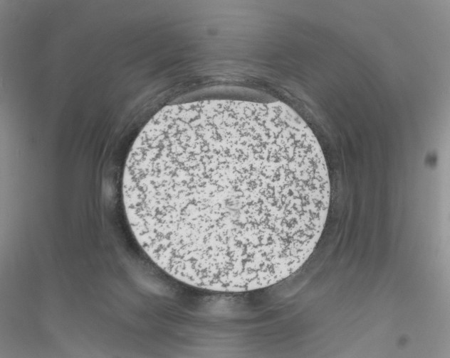 X0000116890074201002021218