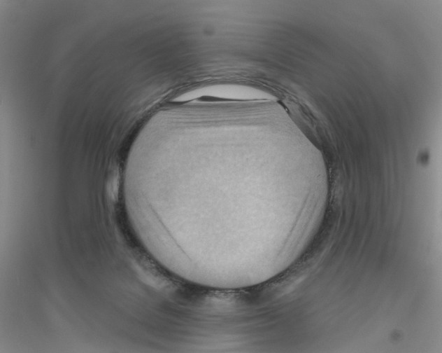 X0000116890076201002021218