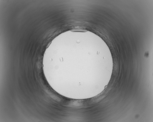 X0000116890078201002021218