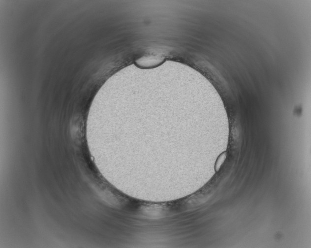 X0000116890079201002021218