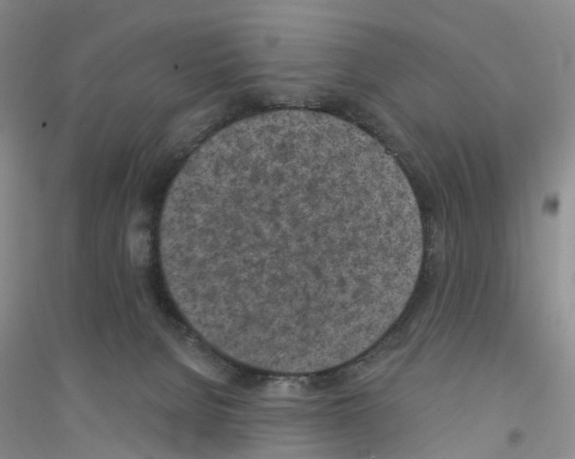 X0000116890080201002021218