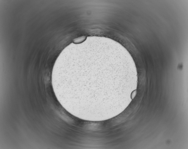 X0000116890081201002021218