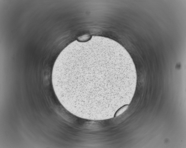 X0000116890082201002021218