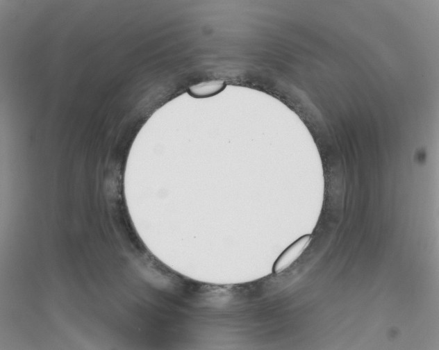 X0000116890083201002021218