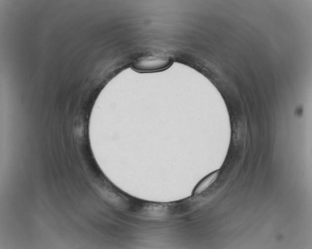 X0000116890084201002021218