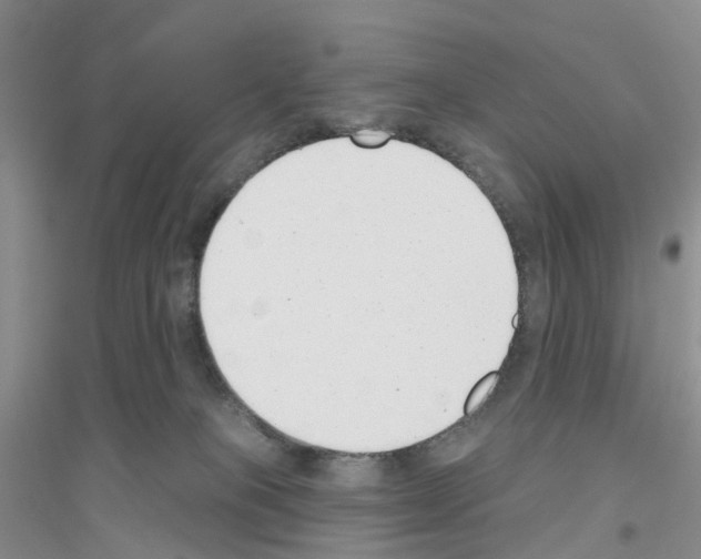 X0000116890085201002021218