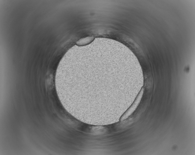 X0000116890087201002021218