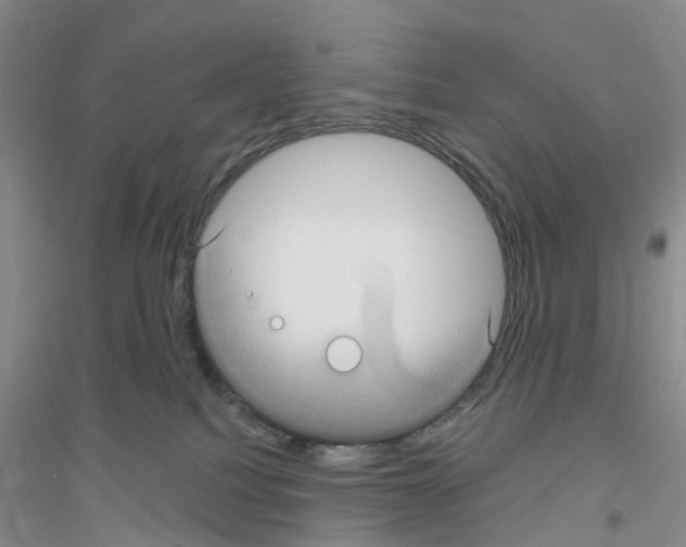 X0000116890088201002021218