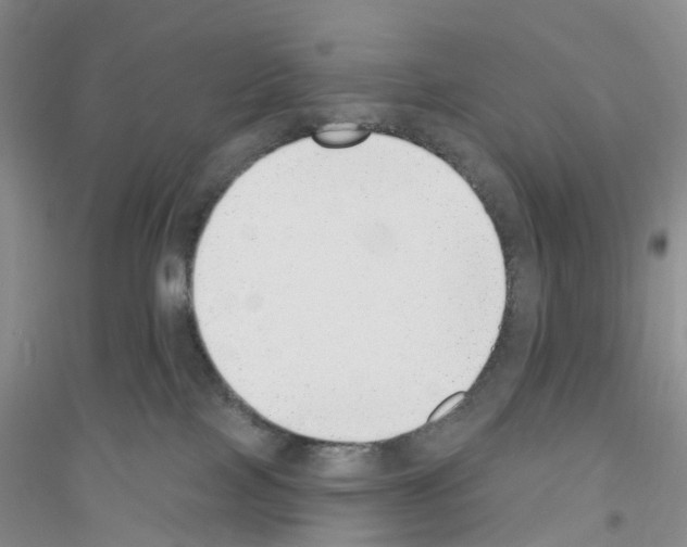 X0000116890089201002021218