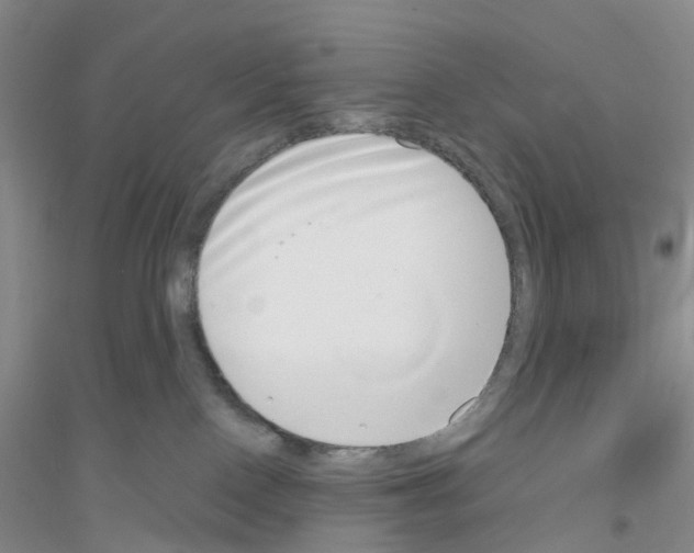 X0000116890090201002021218