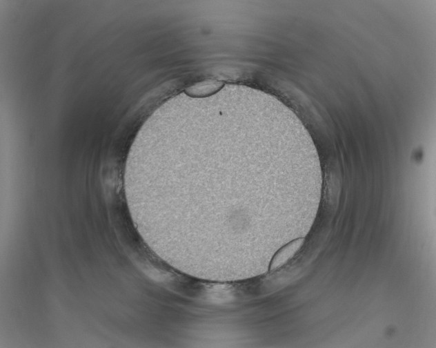 X0000116890091201002021218