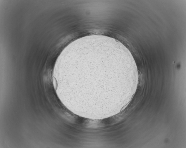 X0000116890093201002021218