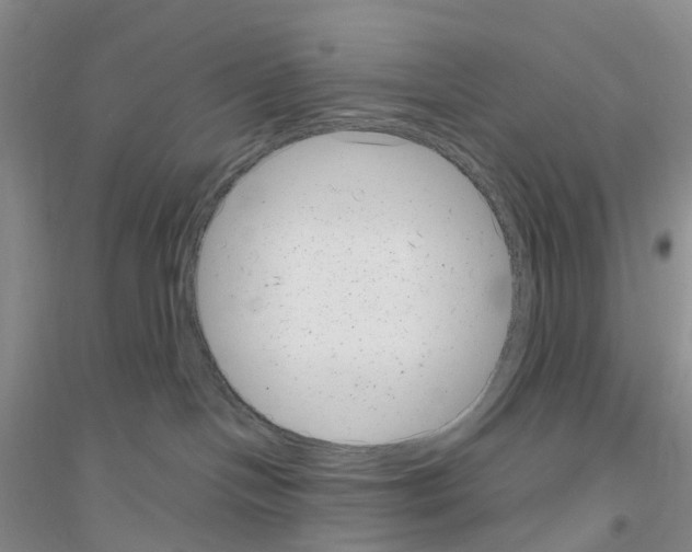 X0000116890094201002021218