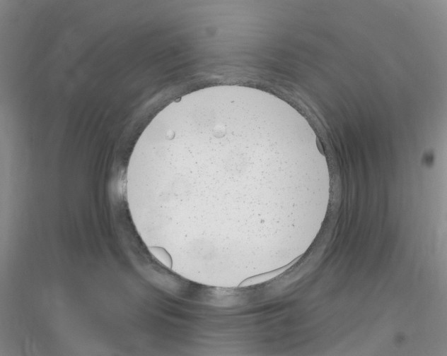 X0000116890095201002021218