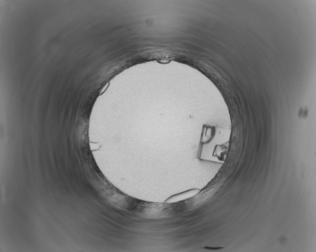 X0000116890096201002021218